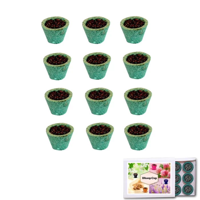 Sambrani Havan Cups Guggal Dhoop (2.5 cm) - Pack of 12 (Mogra)